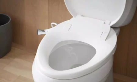 Унитаз в туалете