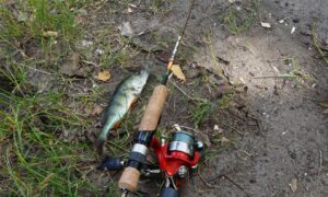 Ловля рыбы на удочку