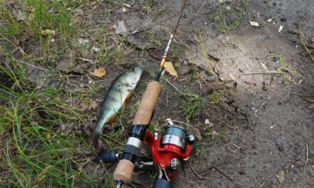 Ловля рыбы на удочку