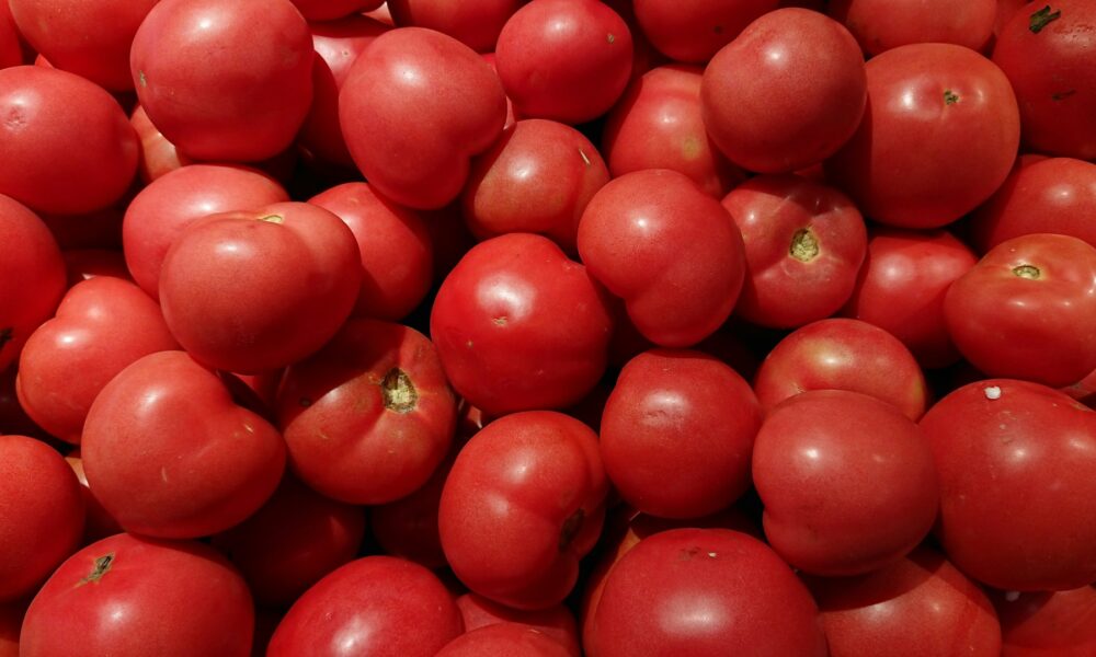 Красные помидоры