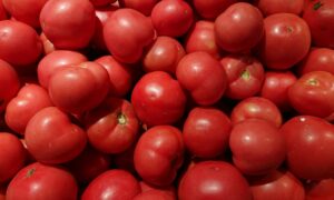 Красные помидоры