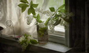 цветы черемухи