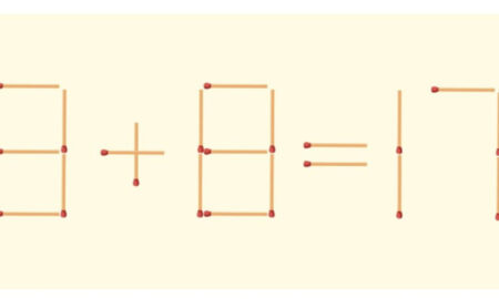 Математический пример из спичек