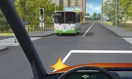 Автомобиль и автобус на дороге