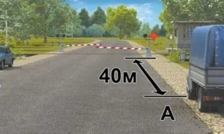 Два автомобиля припаркованы у обочины