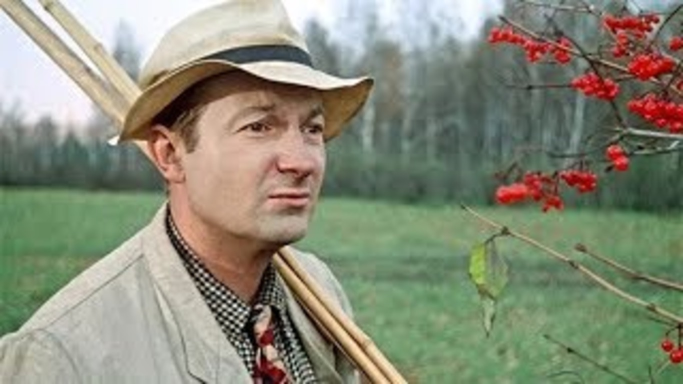 Георгий Вицин