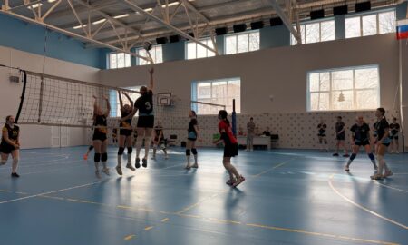 Волейбольный матч