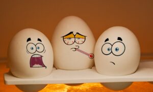 Яйца в холодильнике