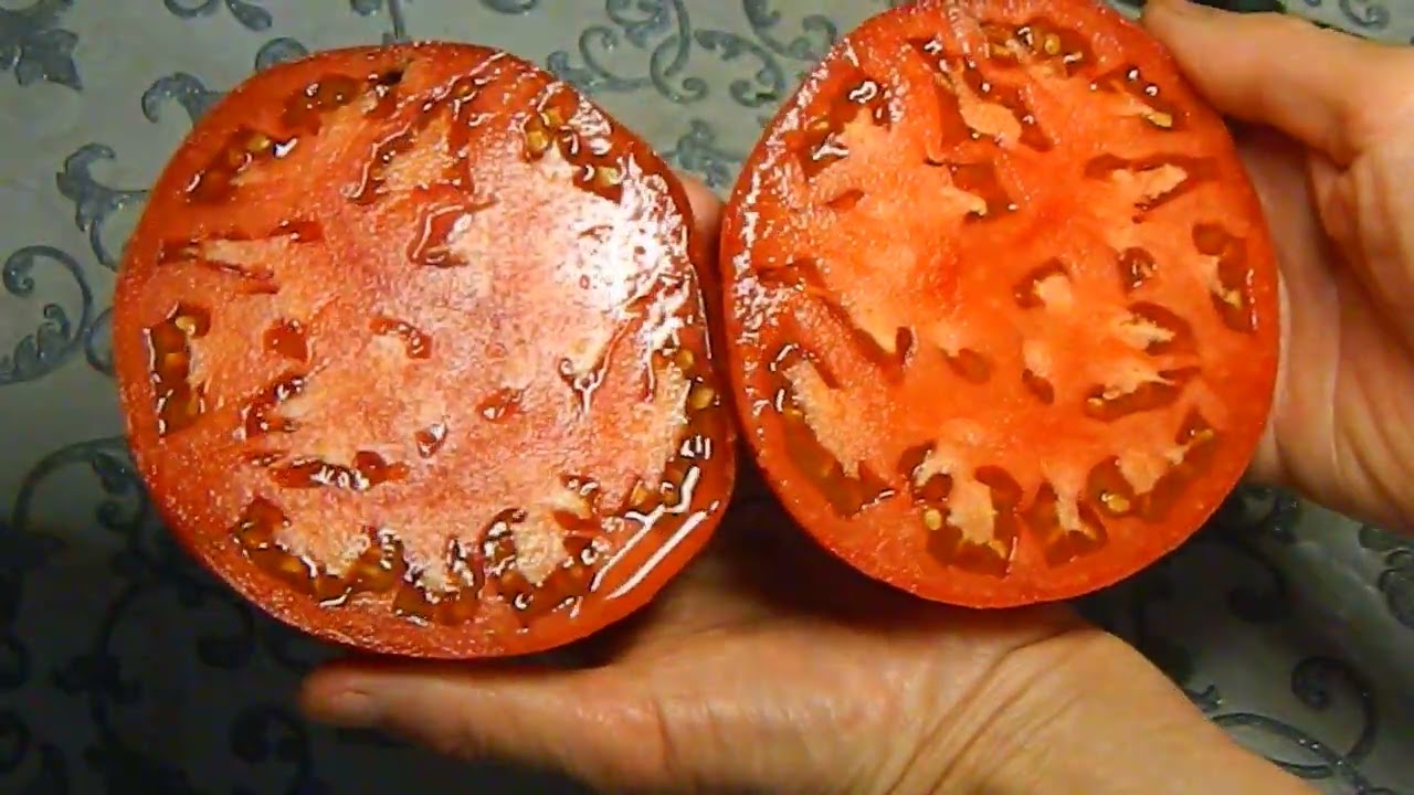 Томат «Бычье сердце» в разрезе