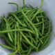 Овощная фасоль