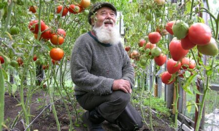 Садовод с помидорами