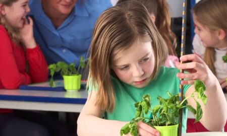 Девочка с растением