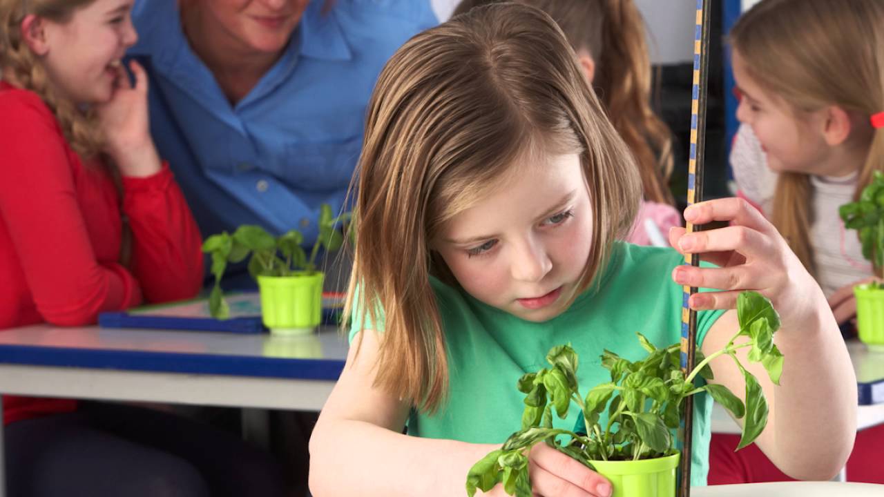 Девочка с растением