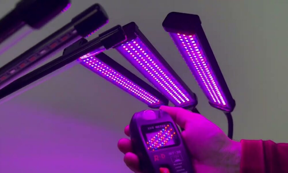 Розовые фитолампы