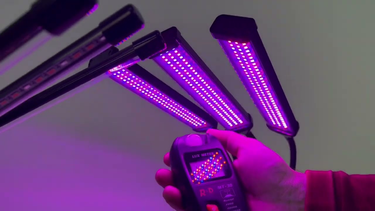 Розовые фитолампы