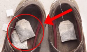 чайные пакетики в обуви