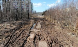 Грязная дорога к школе