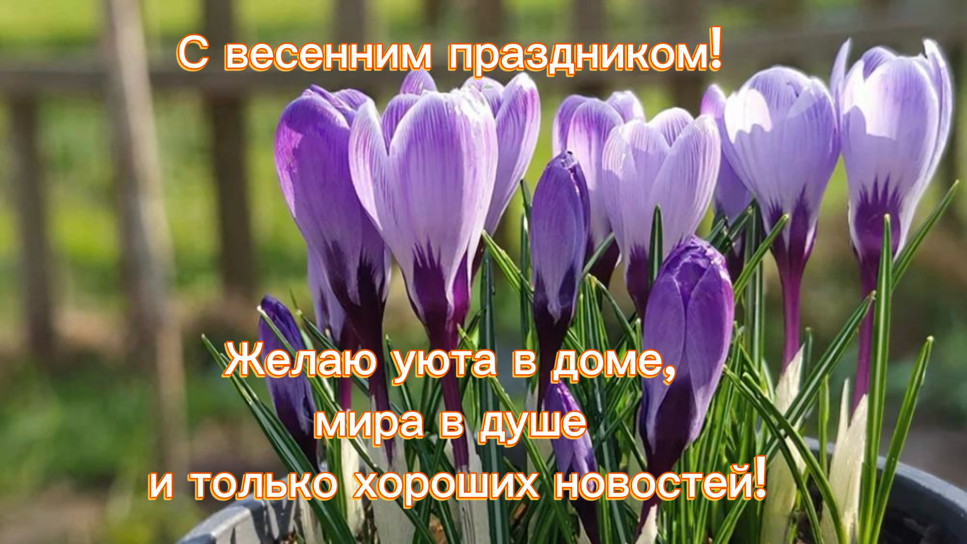 Открытка с подснежниками на Международный женский день