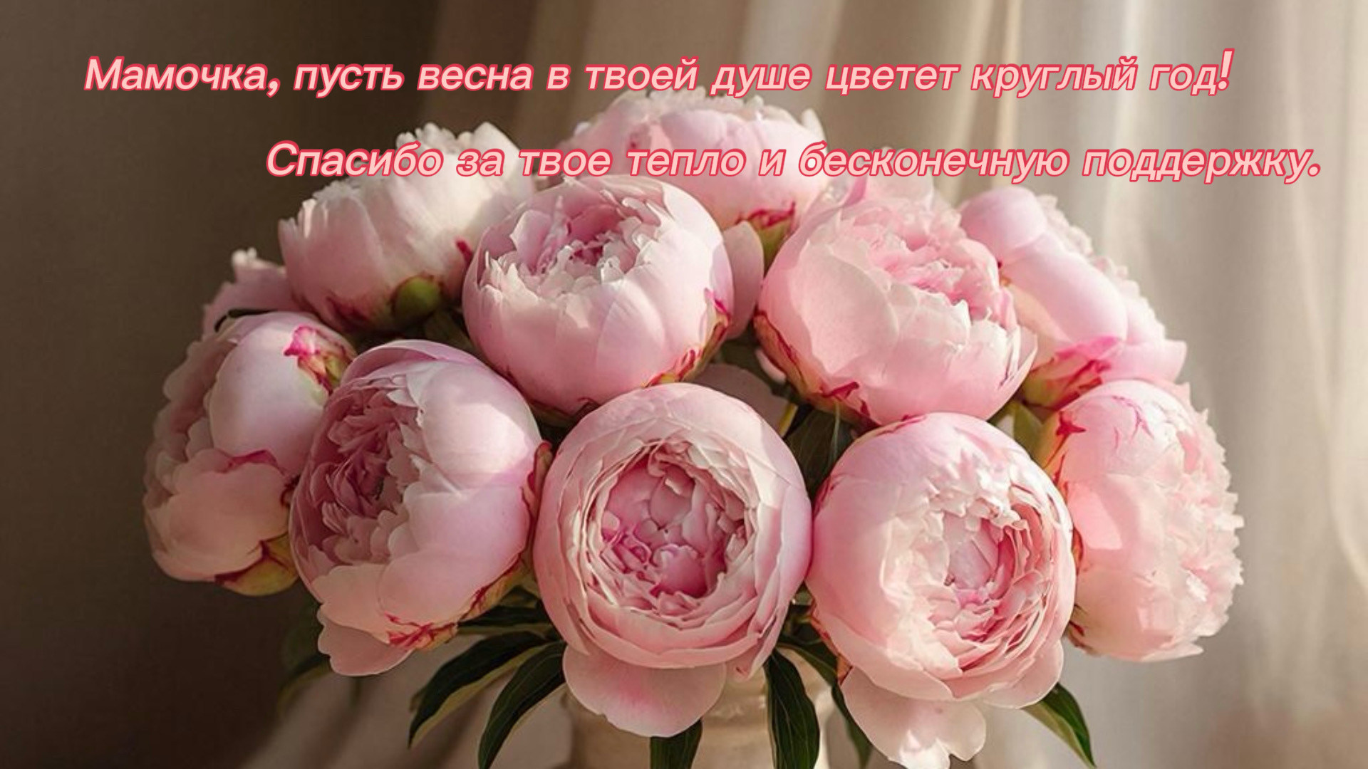 Картинка с пионами любимой маме на 8 Марта