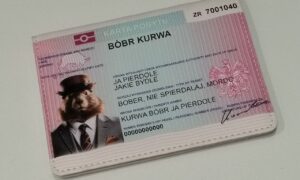 Загранпаспорт