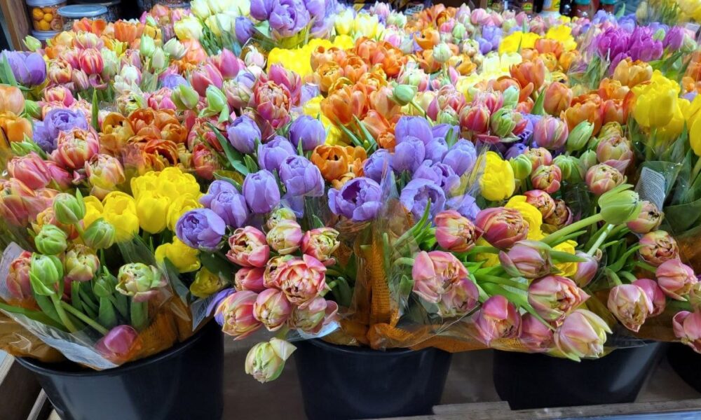 Цветы на 8 марта