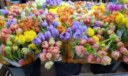 Цветы на 8 марта