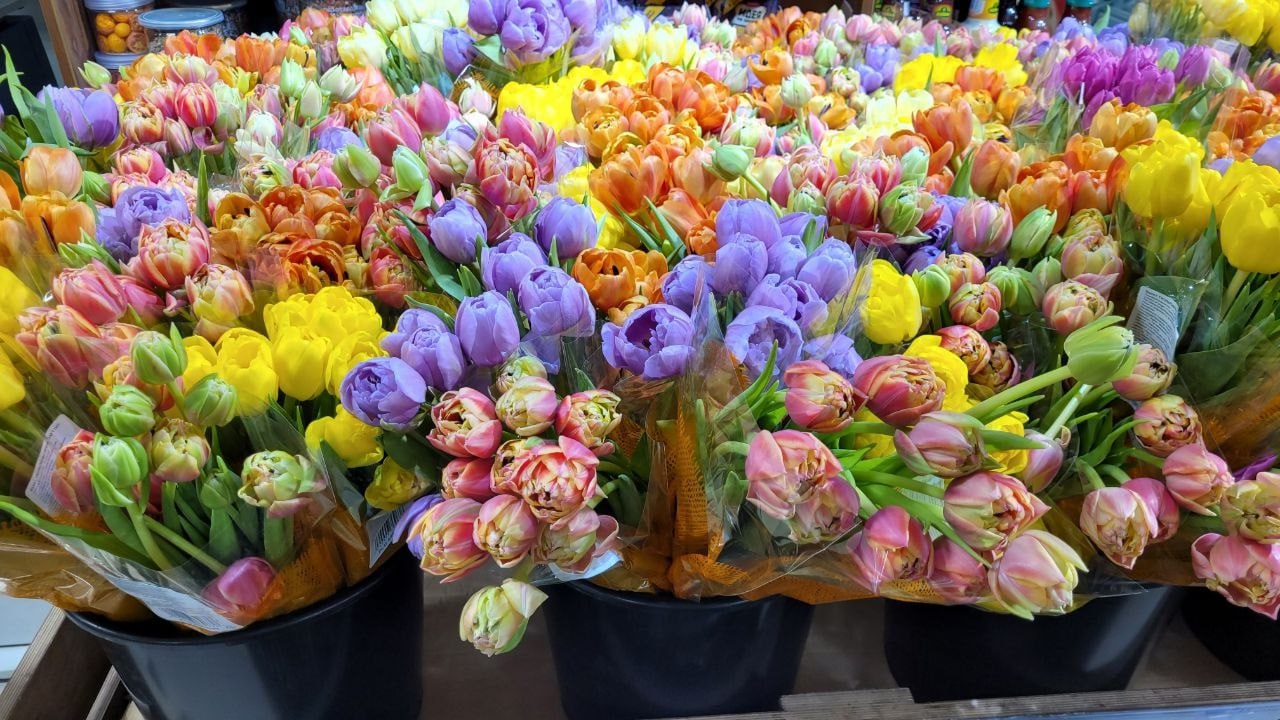 Цветы на 8 марта