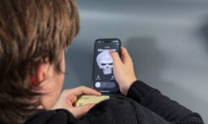 Мошенник в интернете