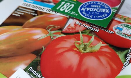 Семена томатов