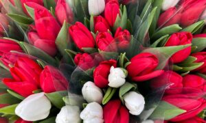 Цветы к 8 Марта