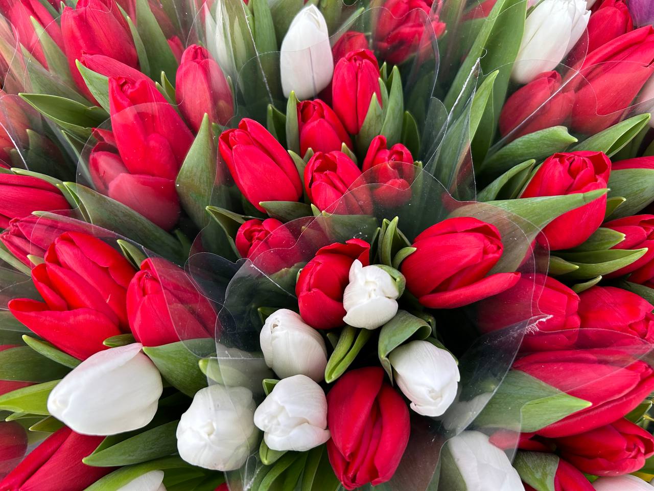 Цветы к 8 Марта