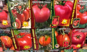 Пачки семян помидоров