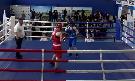 Боксерский поединок