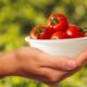 Человек держит в руке тарелку с помидорами