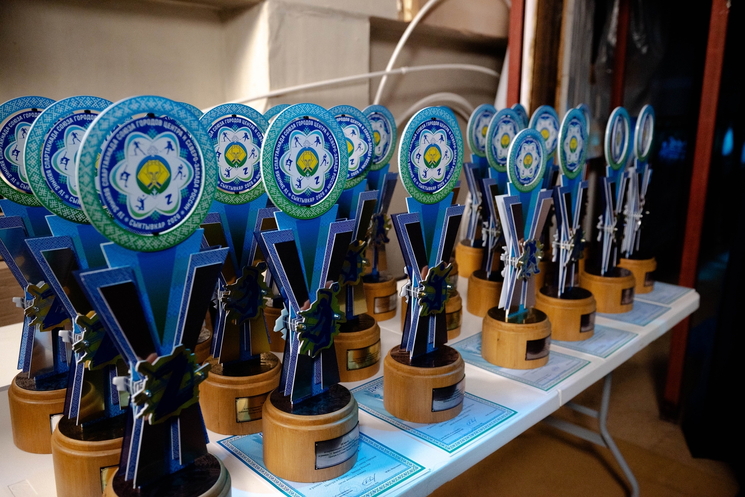 Награды и кубки