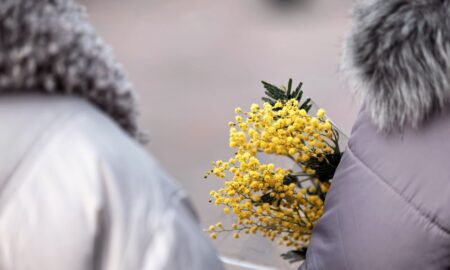 цветы в руках