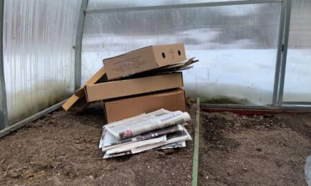 Коробки в теплице