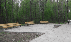 Деревяницкий парк новгорода