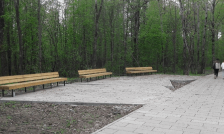 Деревяницкий парк новгорода