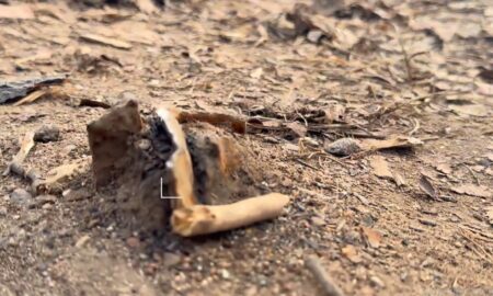 Железо в земле