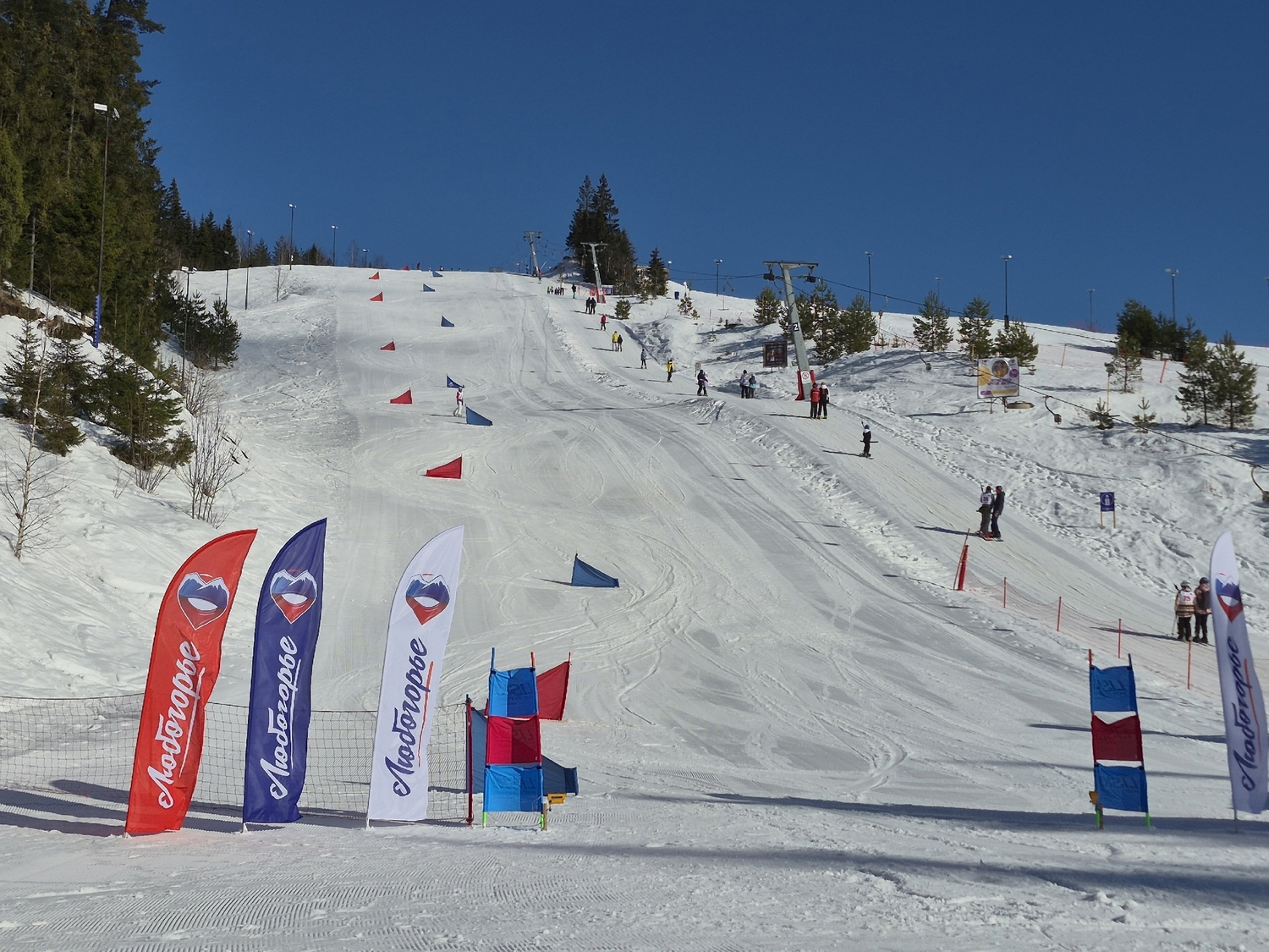 Горнолыжный спуск