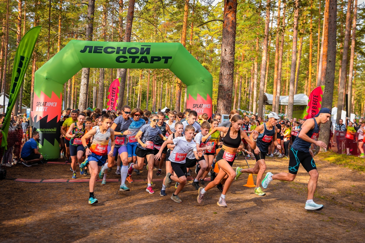 Забег в лесу