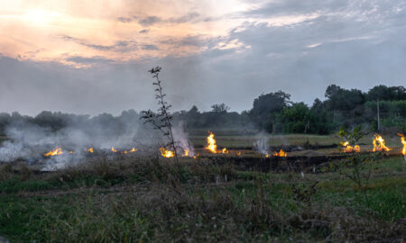 Огонь в поле