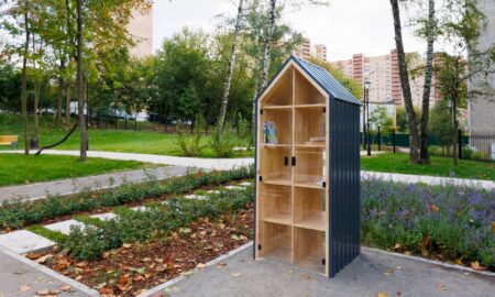 Шкаф с книгами