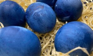 синие яйца, окрашенные каркаде