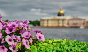 Санкт-Петербург