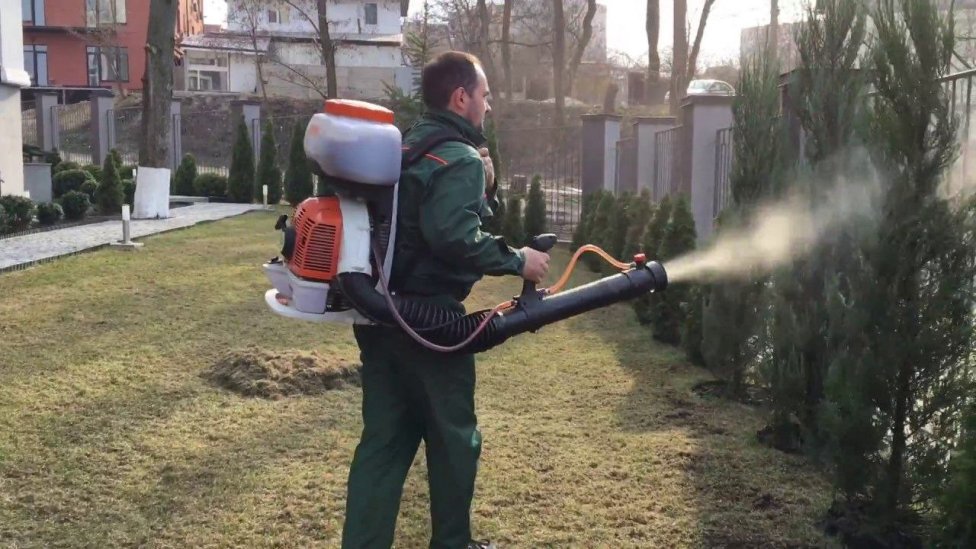 мужчина опрыскивает сад из ранцевого бака