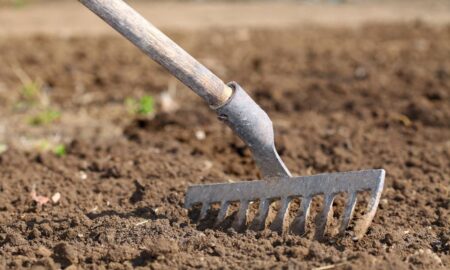 Рыхление почвы