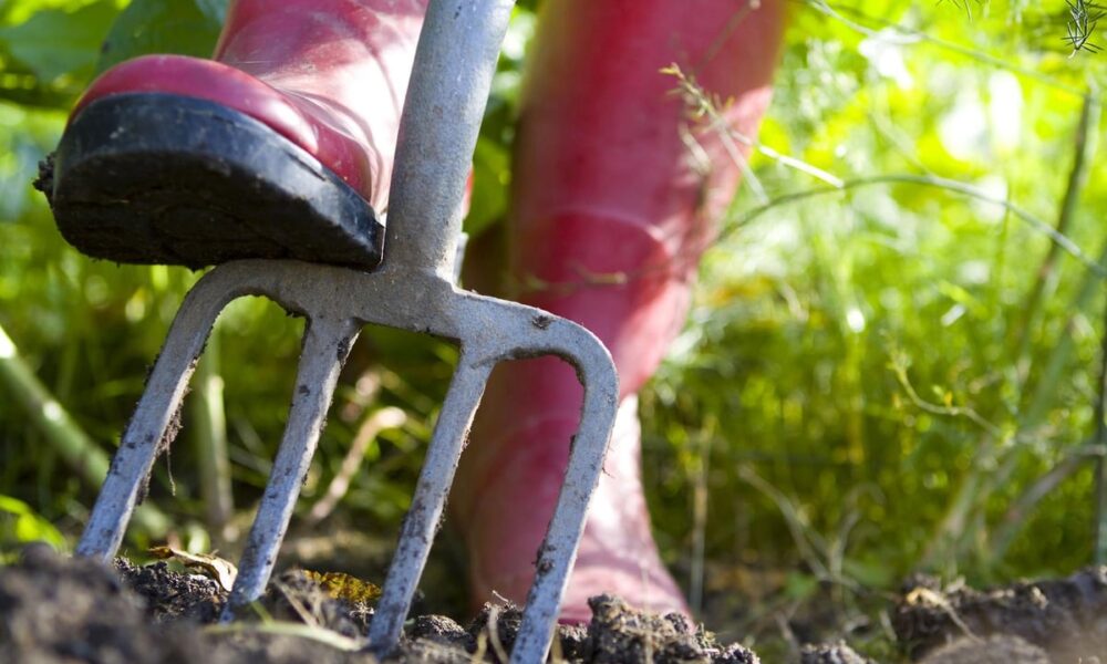 Работа в огороде