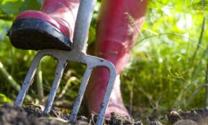 Работа в огороде